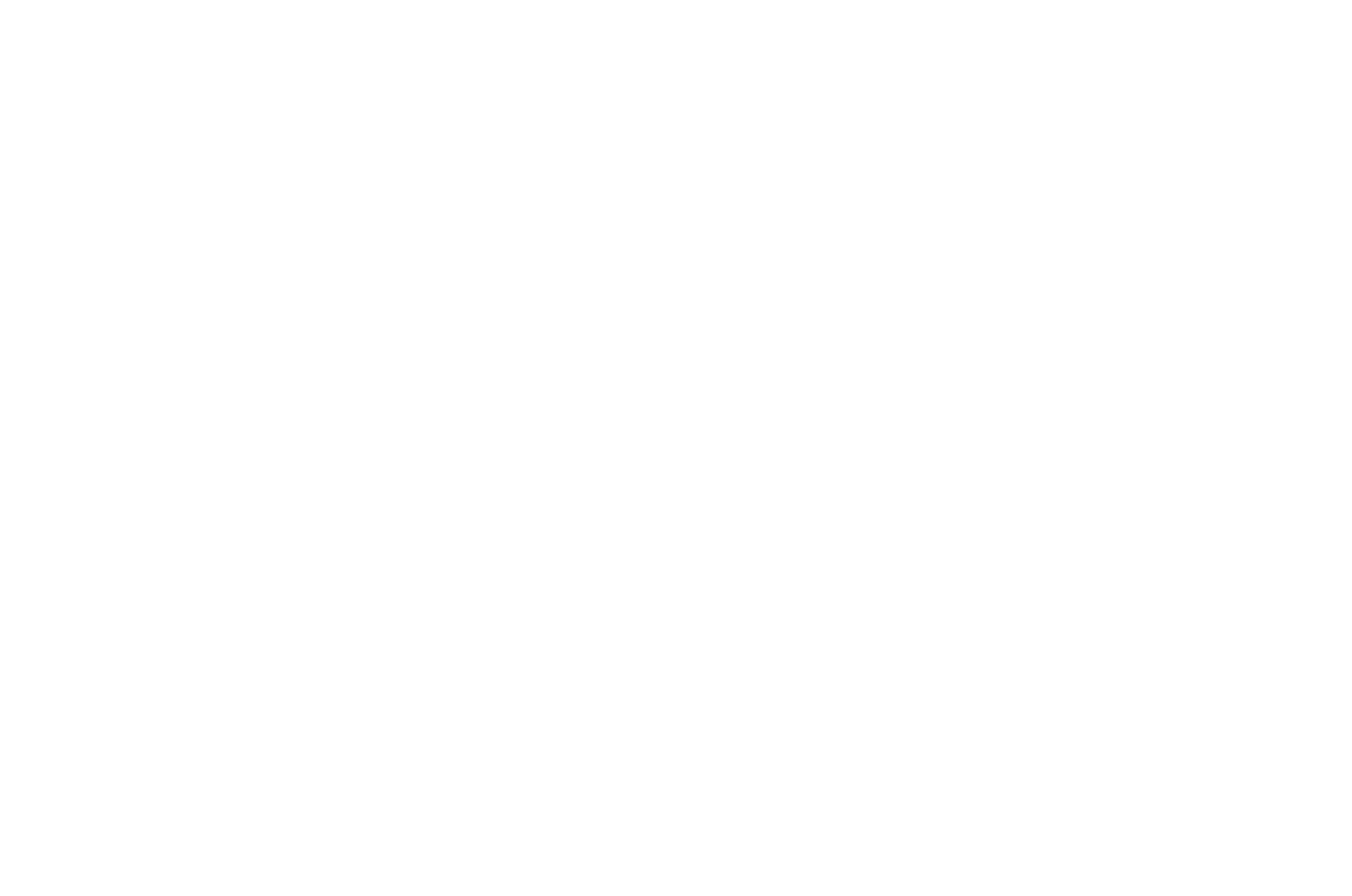 Logo San Luis